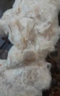 پنبه تشک