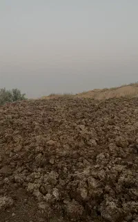 کود مرغ خشک