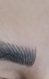 میکرو ابرو فوری فقط فردا (شنبه)