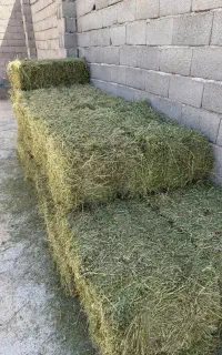 یونجه درجه یک