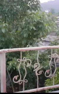 اجاره ویلا زیارت گرگان