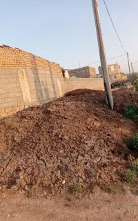 کودگاوی