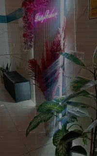 خدمات آرایشگری
