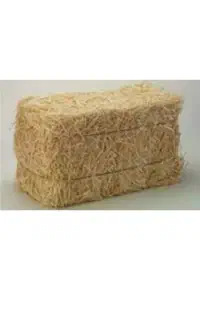 جو محلی