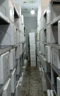 گلس آنتی استاتیک فقط 93 هزار تومان -فروش به همکار