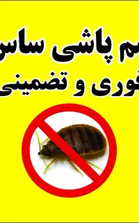 سم پاشی ساس