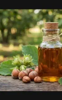 روغن فندق (جادوی سلامتی و زیبایی)