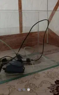 آکواریوم