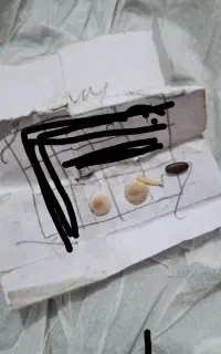 نگین