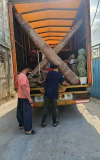 باربری(کنگان بار)حمل اثاثیه منزل با کارگروایسزو