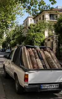 ۳۰٪ تخفیف  قالیشویی شورینو شستشوی VIP تهران