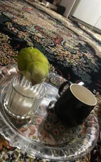 طوطی گمشده محدوده خیابان سربندر شهرک طالقانی