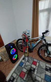 دوچرخه اینتنز