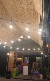 نیروی کار