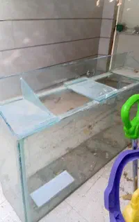 آکواریوم
