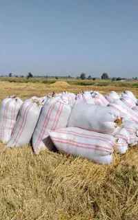 یونجه پرس وکاه