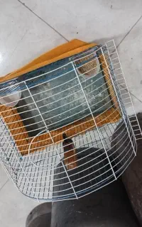 قفس با تمام وسایل