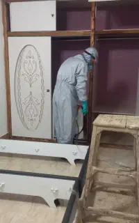 سمپاشی تضمینی ساس،سوسک،کک، کنه
