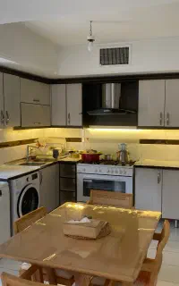 کابینت و سینک و هود
