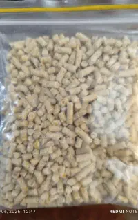 دون پارس ریز برا جوجه