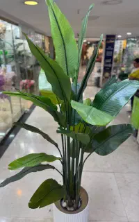 مرکز پخش انواع درختچه گل گیاه مصنوعی