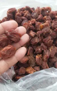 الوبخارا اورگانیک امسال گوشتی کاملا بهداشتی