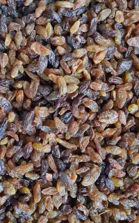 کشمش آفتابی