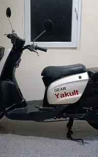 پاکشتی یاماها گی ار ژاپنی
