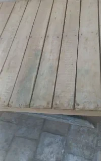 تخت حیاط
