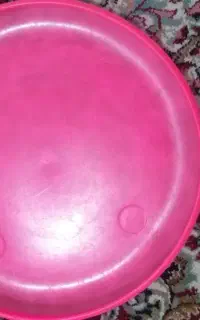 بشقاب پرنده