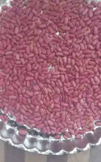 لوبیا کپسولی دستچین