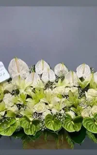 گل آنلاین مراسم ختم و عروسی تالار با سبک های مختلف