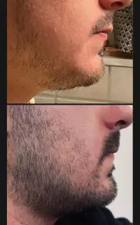 جنگل آمازون شده