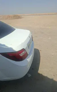 دنا ابشنال سفید