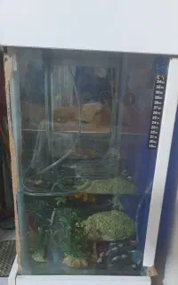 اکواریوم درابعاد ۸۰×۳۵