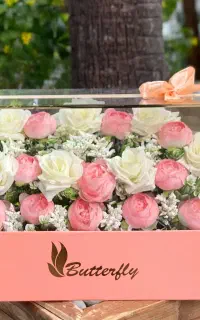 باکس شیشه ای