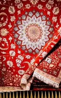 قالیشویی دلوین با *حمل رایگان*
