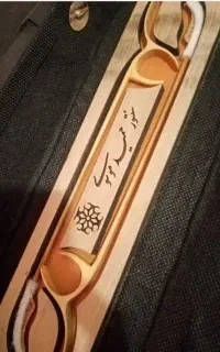 مضراب حمید موسوی