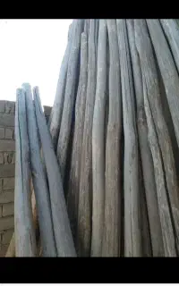 چوب اتاقی