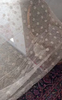 پرده پذیرایی و راهرو