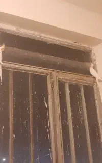 عروس هلندی