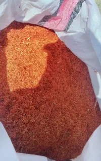 فروش و خرید گلرنگ ودانه