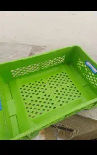 سبد