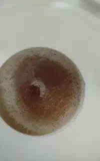 عسل طبیعی لرستان کیلویی 1200