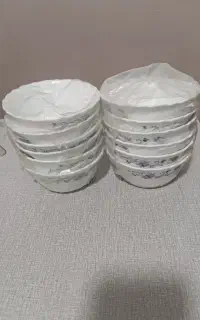 2 دست کاسه ترشی آکبند آرکوپال