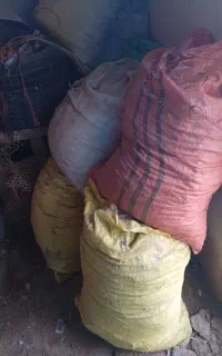 زل کبوتر 8 هزار