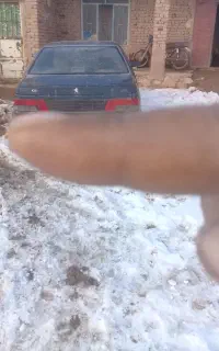 پژو اردی