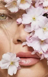 مدل پی آر پی و فیلر بادی