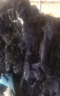 نخ و سرنخ
