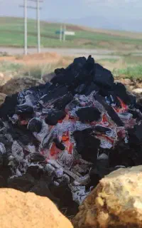 نیرو دارم برای کار کشاورزی و ساختمانی